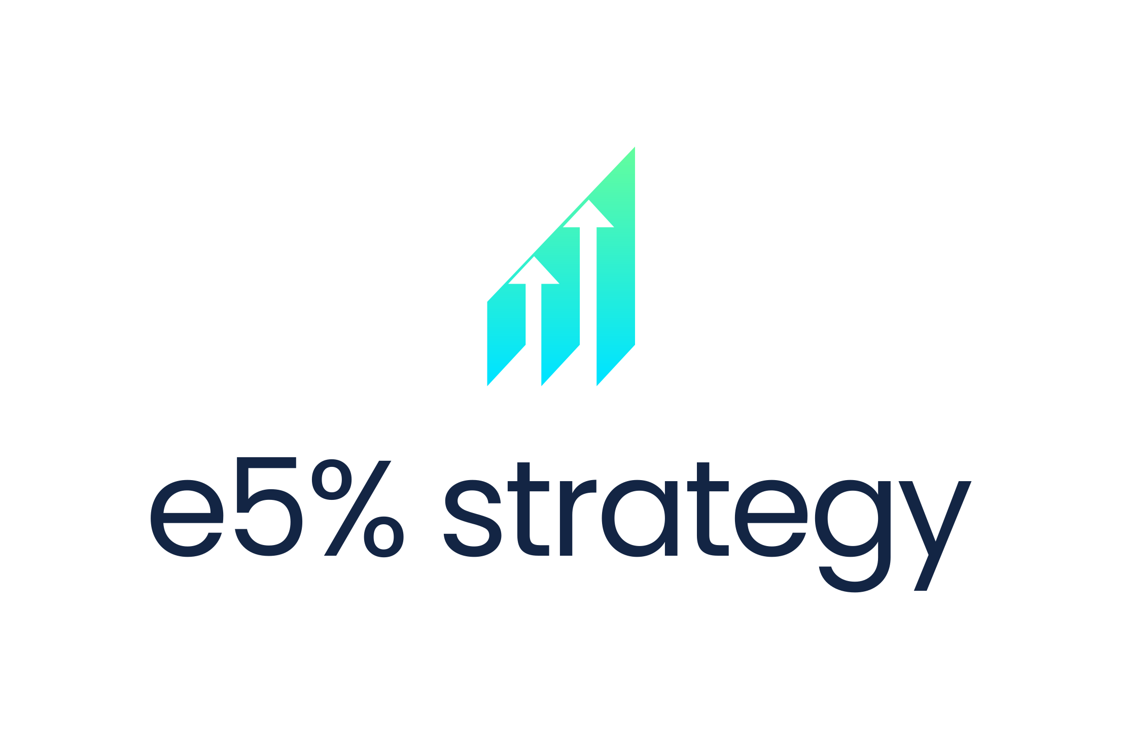 E5% Strategy Logo